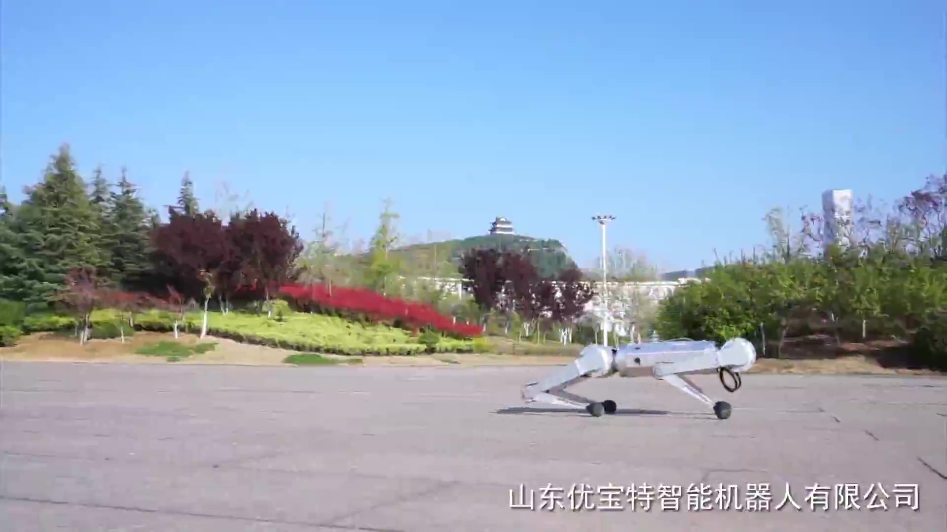 四足機器人宣傳視頻